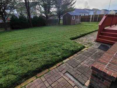 Lawn Care service in Mount Washington, 40047