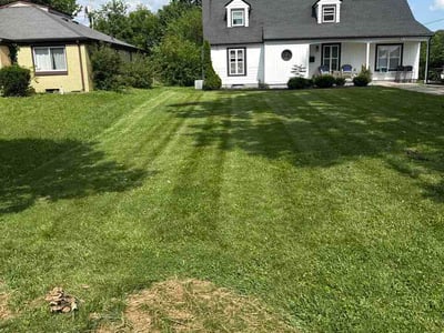 Lawn Care service in Indianapolis, 46204