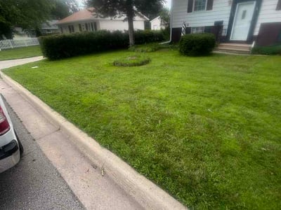Lawn Care service in Waterloo, 50701