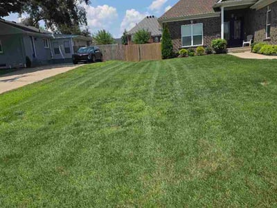 Lawn Care service in Shepherdsville, 40165