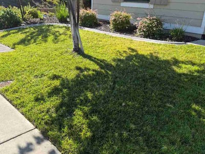 Lawn Care service in Auburn, 95603