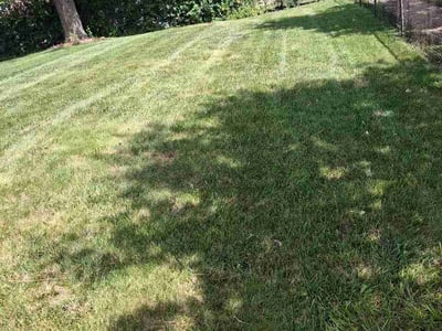 Lawn Care service in Park Forest, 60466