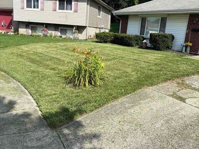 Lawn Care service in Finneytown, 45231