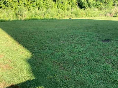 Lawn Care service in Zebulon, 27597
