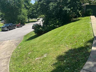Lawn Care service in Mount Juliet, 37122