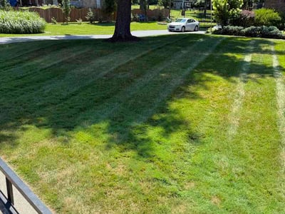 Lawn Care service in Milford, 45150
