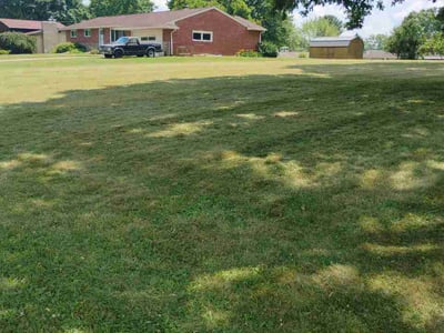 Lawn Care service in Canton, 44702