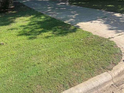 Lawn Care service in Goldsboro, 27530