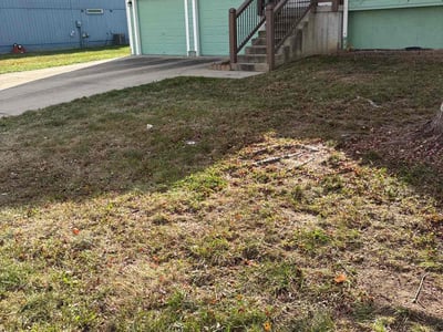 Lawn Care service in Somerville, 02143