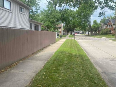 Lawn Care service in Royal Oak, 48067