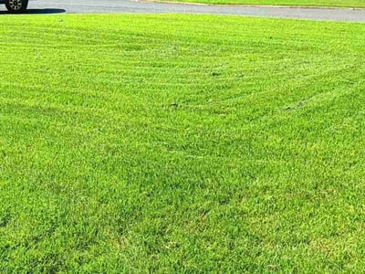 Lawn Care service in Johnson City, 37604