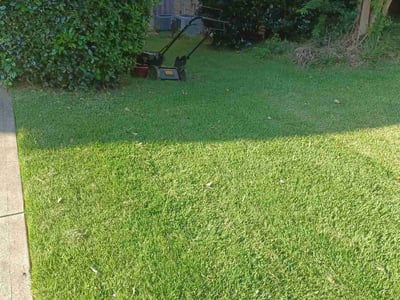 Lawn Care service in Bluefield, 24701