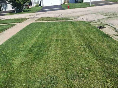 Lawn Care service in Bartlett, 60103