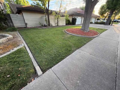 Lawn Care service in Tracy, 95376