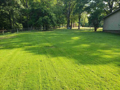 Lawn Care service in Arlington, 38002