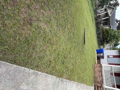 Lawn Care service in North Charleston, 29406