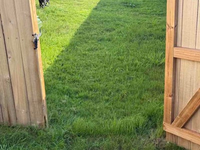 Lawn Care service in Millington, 38053
