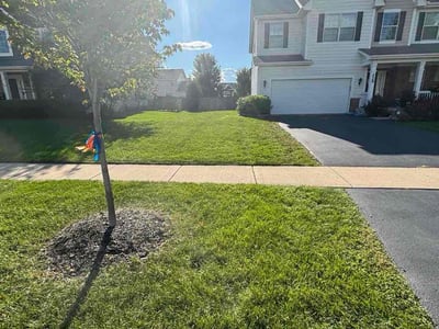 Lawn Care service in Oswego, 60543