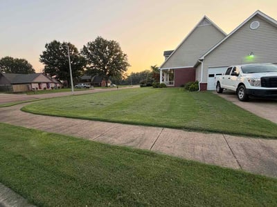 Lawn Care service in Millington, 38053