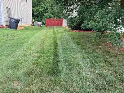 Lawn Care service in Trinity, 27370