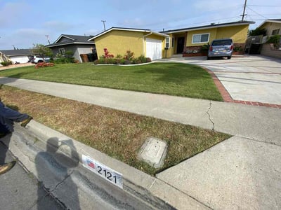 Lawn Care service in Anaheim, 92805