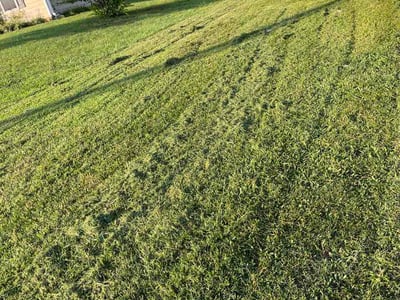 Lawn Care service in Columbia, 38401