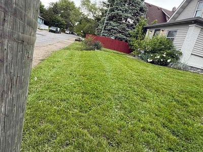 Lawn Care service in Martinsville, 46151