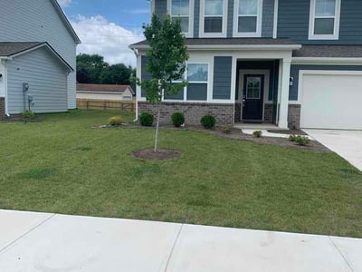 Lawn Care service in Zionsville, 46077