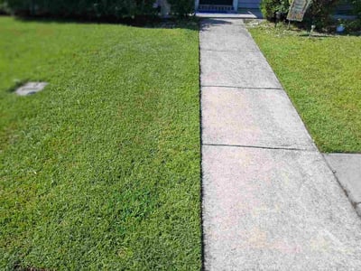 Lawn Care service in Mount Pleasant, 29464