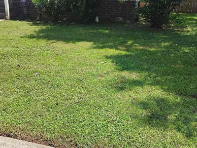 Lawn Care service in Burns, 37029