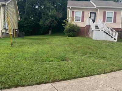 Lawn Care service in Burns, 37029