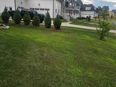 Lawn Care service in Piedmont Triad, 27523