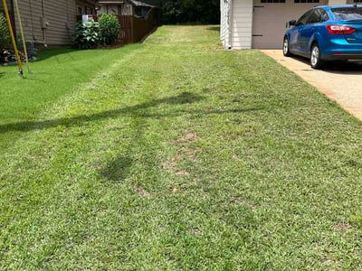 Lawn Care service in Owensboro, 42303