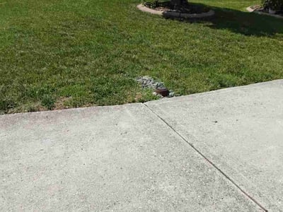 Lawn Care service in Randleman, 27317