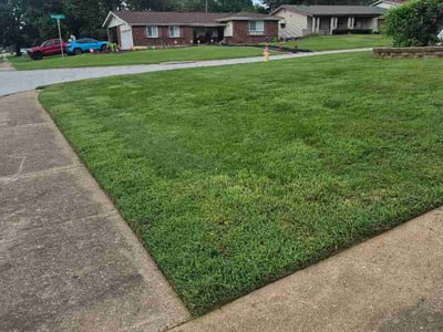 Lawn Care service in Sullivan, 63080