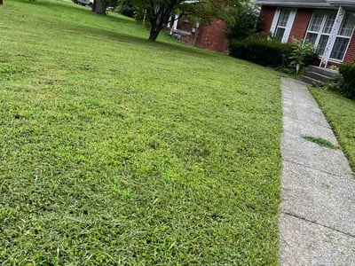 Lawn Care service in Antioch, 37013