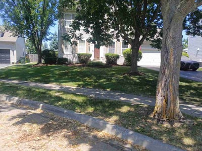 Lawn Care service in West Chicago, 60185