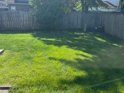 Lawn Care service in West Chicago, 60185