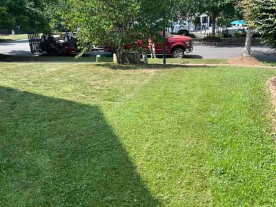 Lawn Care service in Fort Mill, 29715