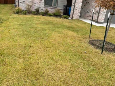 Lawn Care service in Long Beach, 90802