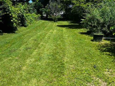 Lawn Care service in Henrietta, 14467