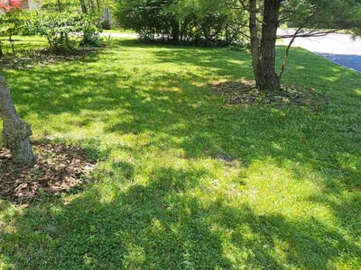 Lawn Care service in Henrietta, 14467