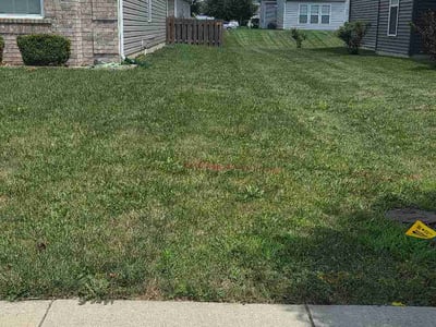 Lawn Care service in Avon, 46123