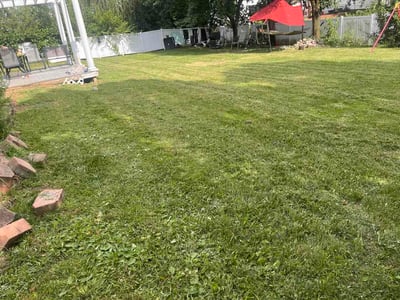 Lawn Care service in Avon, 46123