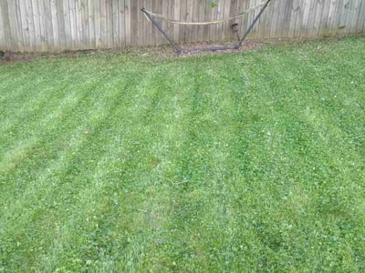 Lawn Care service in Lexington, 02420