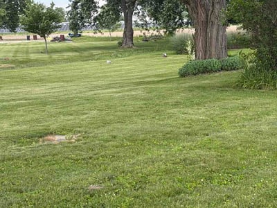 Lawn Care service in Greenfield, 46140
