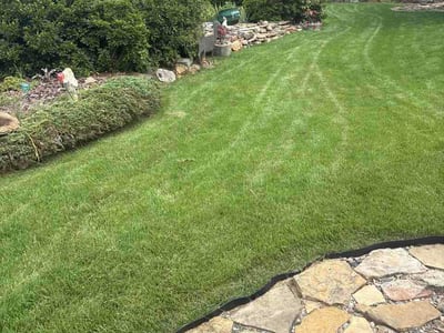 Lawn Care service in Sheridan, 72150
