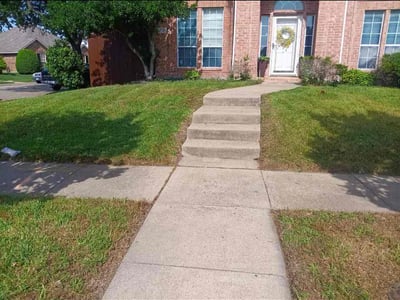 Lawn Care service in Beverly Hills, 90210