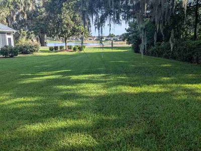 Lawn Care service in The Villages, 32162