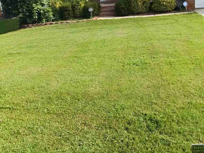 Lawn Care service in Clover, 29710